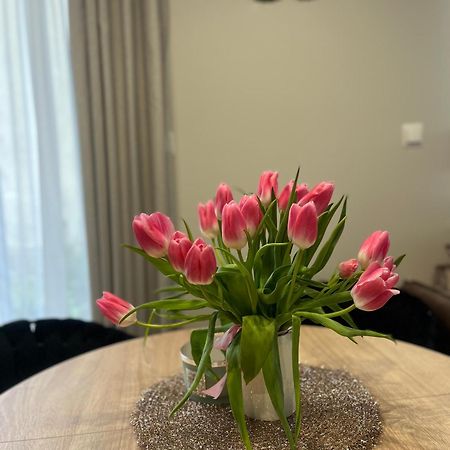 Apartament Kaszmirowy 别尔斯克-比亚拉 外观 照片