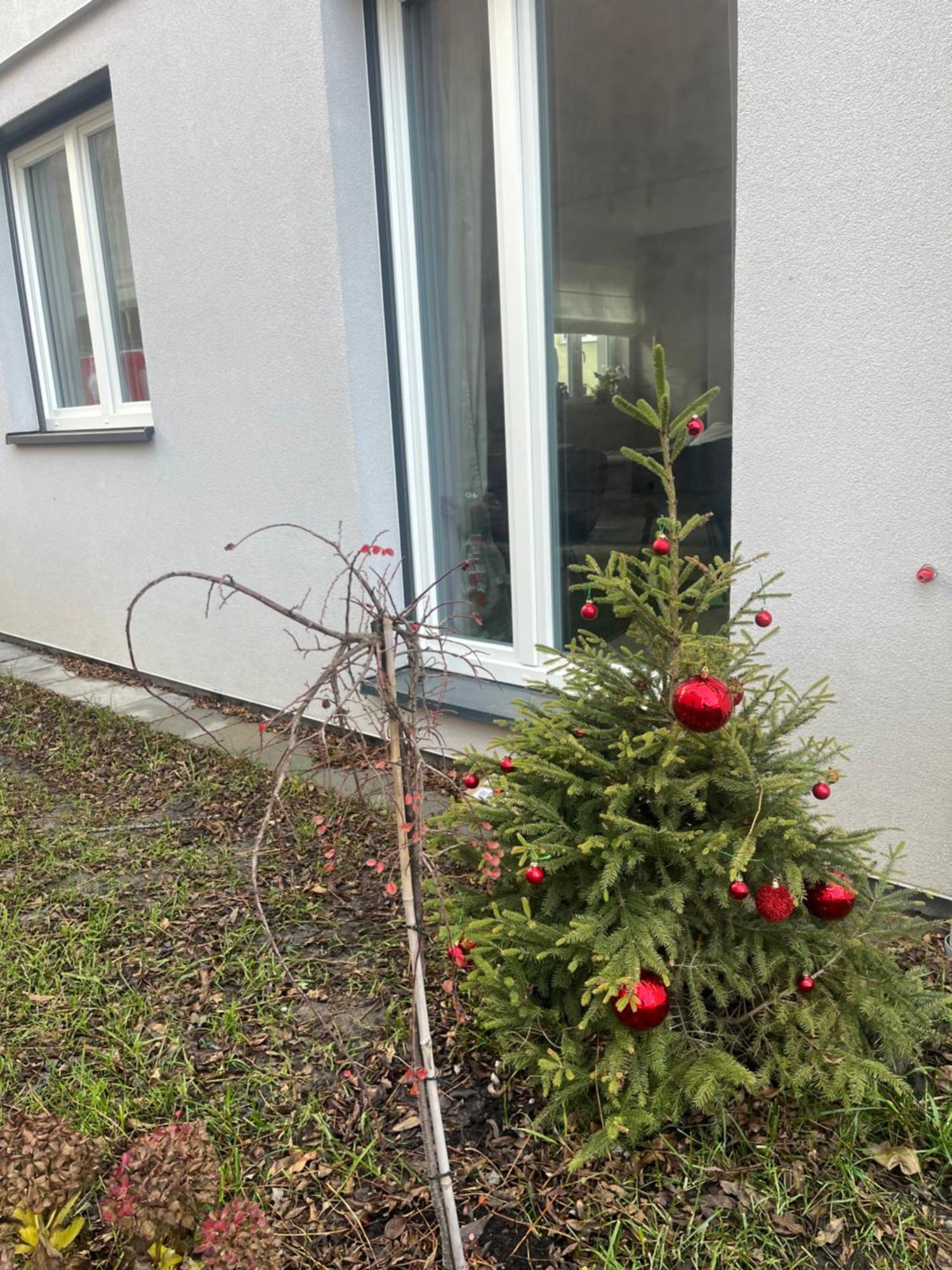 Apartament Kaszmirowy 别尔斯克-比亚拉 外观 照片
